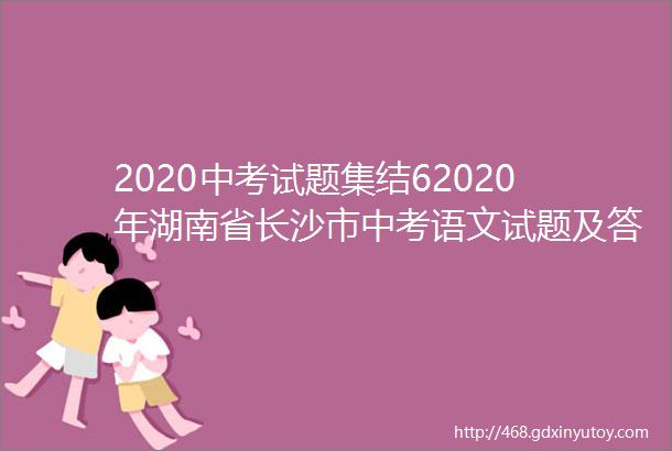2020中考试题集结62020年湖南省长沙市中考语文试题及答案